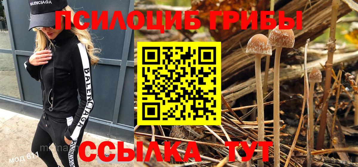 Галлюциногенные грибы ЛСД Кулебаки